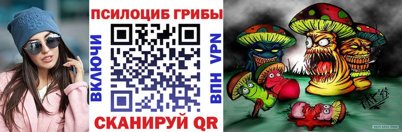 Галлюциногенные грибы Cubensis кракен вход Лесной
